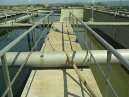 Estudio de alternativas para el reaprovechamiento de la infraestructura de una antigua depuradora en el T.M. de Sant Bartomeu del Grau