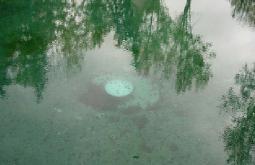 Obres per al segellat del pou de la bassa de Capellades Obres per al segellat del pou de la bassa de Capellades